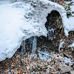 Celine Le Miridan 2*