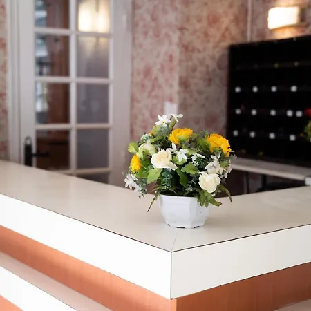 Celine Le Miridan فندق 2*