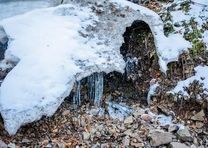 Celine Le Miridan 2*