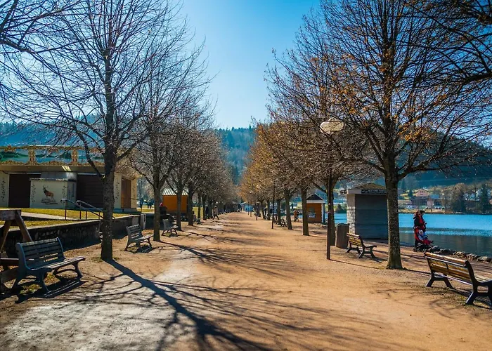 Celine Le Miridan 2* 普隆别尔莱班